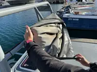 סירת סיור למכירה