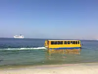 אַמפִיבִּי למכירה