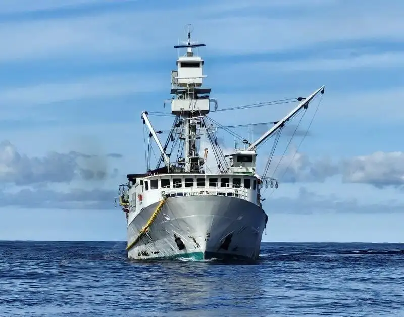 סנפיר למכירה