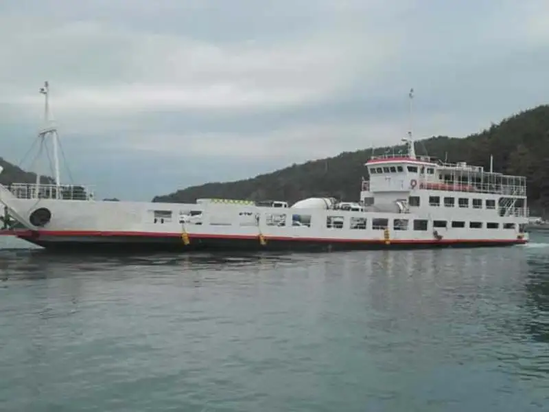 ספינת RORO למכירה