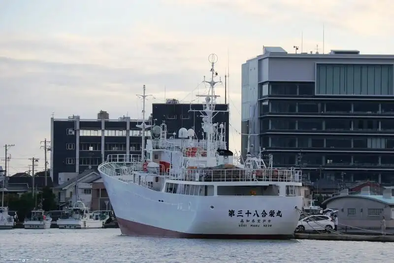 טרייל דיג למכירה