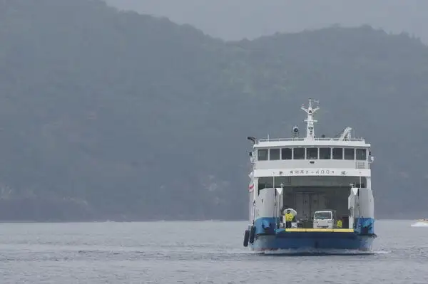 ספינת RORO למכירה