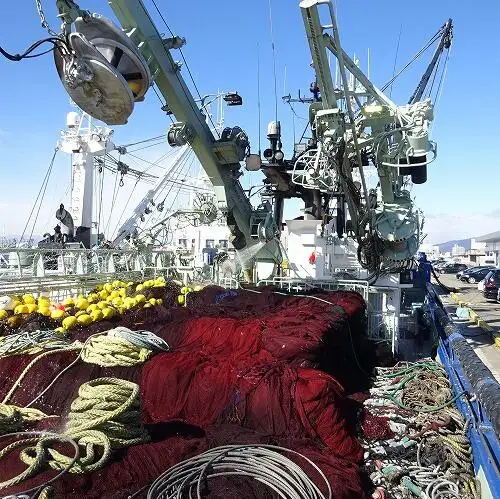 סנפיר למכירה