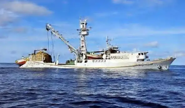 סנפיר למכירה