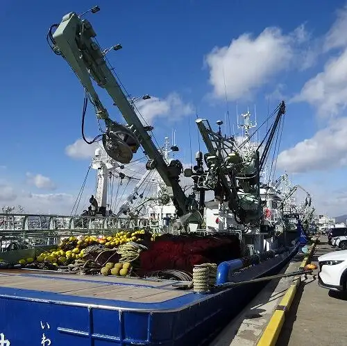 סנפיר למכירה