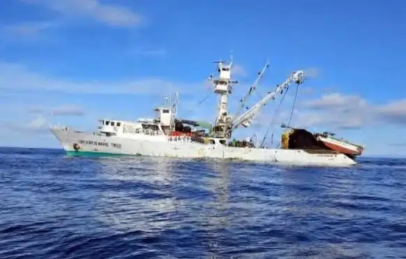 סנפיר למכירה