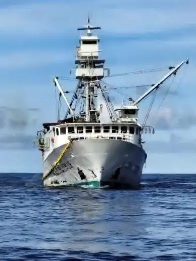 סנפיר למכירה