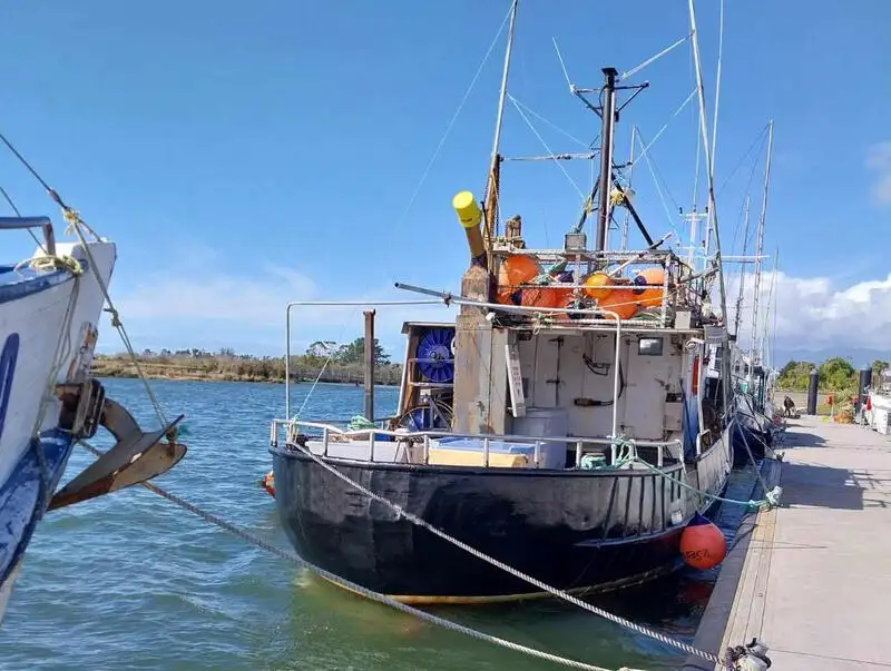 ספינה ארוכות למכירה