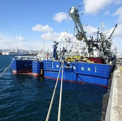 סנפיר למכירה