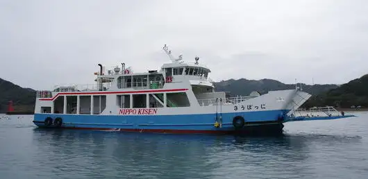 ספינת RORO למכירה