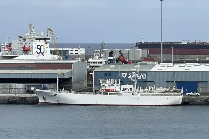 טרייל דיג למכירה