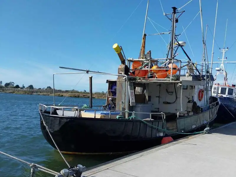 ספינה ארוכות למכירה