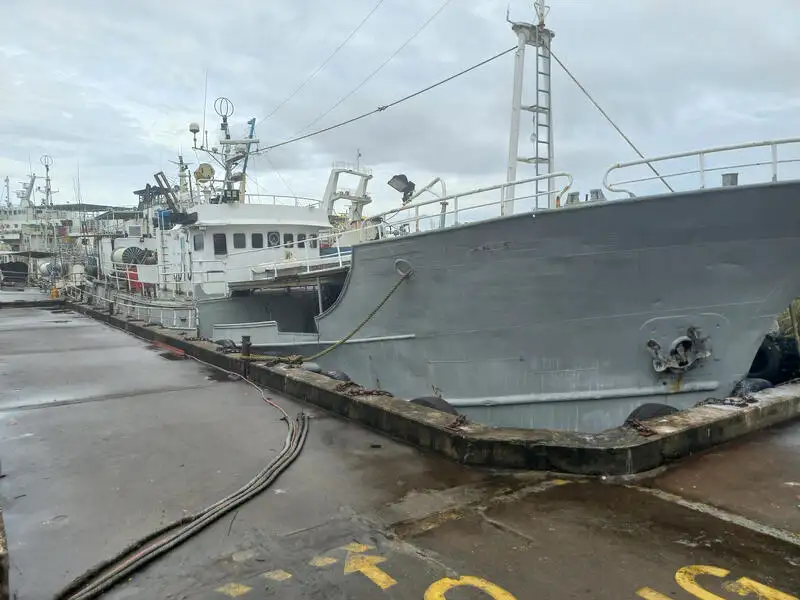 ספינה ארוכות למכירה