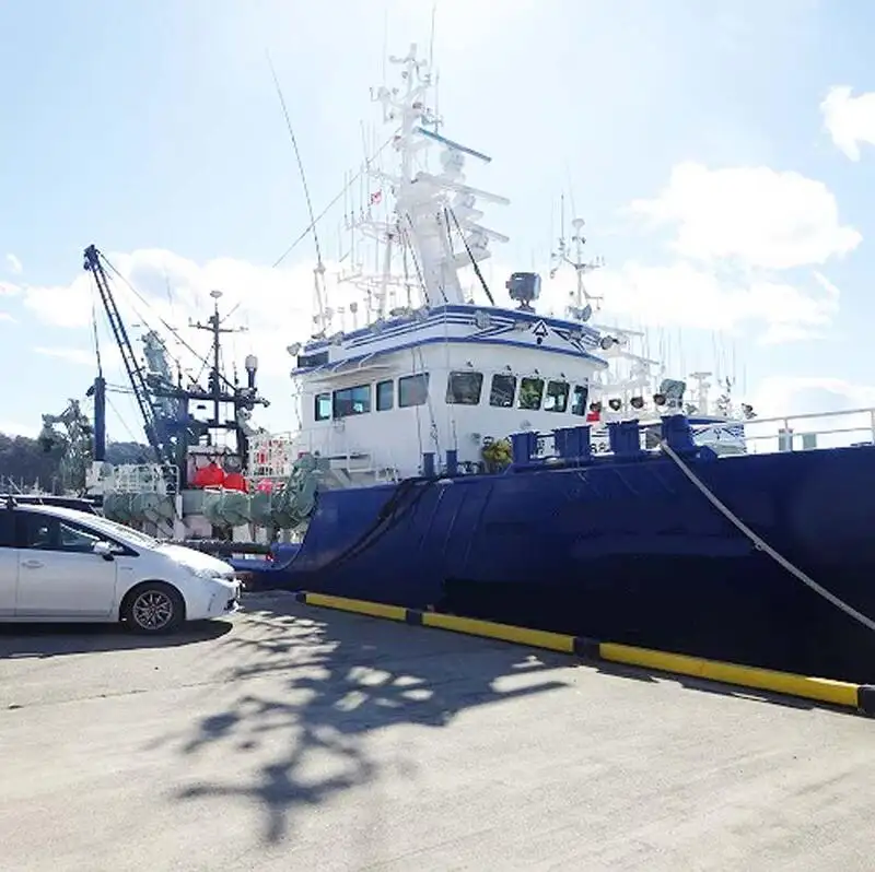 סנפיר למכירה