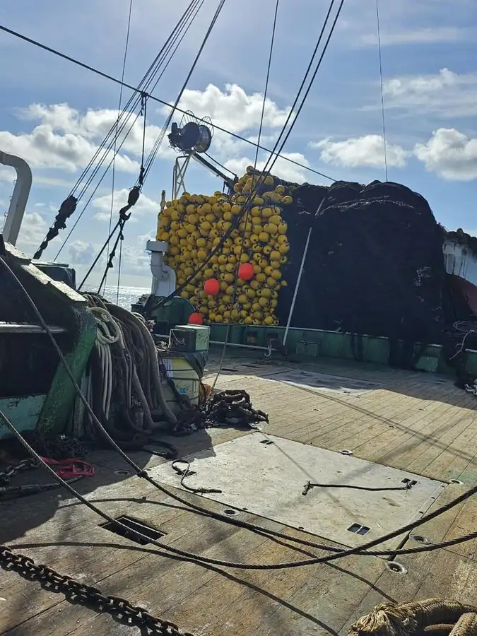 סנפיר למכירה