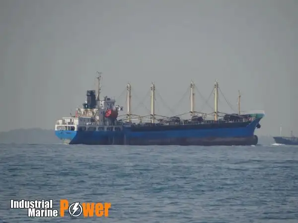 מוביל בתפזורת למכירה