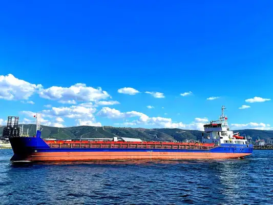 Bulk carrier for sale
