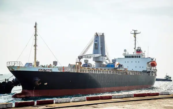 Bulk carrier for sale