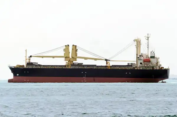 Bulk carrier for sale