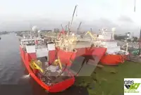 תמיכה בצלילה למכירה