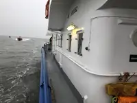 רַב תָכלִיתִי למכירה