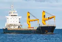 מוביל בתפזורת למכירה