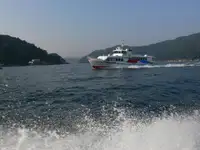 ספינת מעבורת למכירה