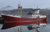 מוביל בתפזורת למכירה