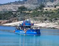 צוֹלֶלֶת למכירה