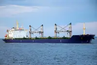 מוביל בתפזורת למכירה