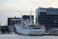 טרייל דיג למכירה