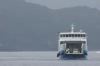 ספינת RORO למכירה