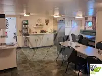 ספינת RORO למכירה