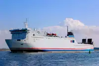 מוביל בתפזורת למכירה