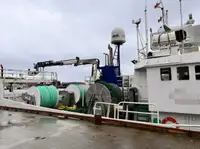 טרייל דיג למכירה