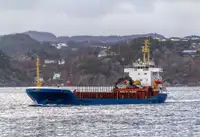 מוביל בתפזורת למכירה