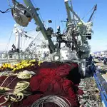 סנפיר למכירה