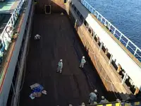 מוביל בתפזורת למכירה