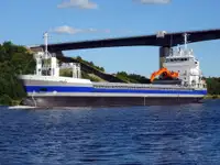 מוביל בתפזורת למכירה