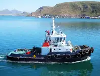 מוביל בתפזורת למכירה