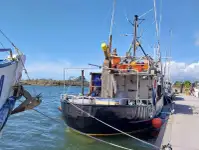 ספינה ארוכות למכירה