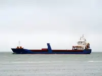 מוביל בתפזורת למכירה