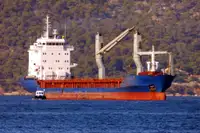 מוביל בתפזורת למכירה