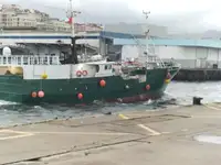 טרייל דיג למכירה