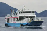 ספינת RORO למכירה