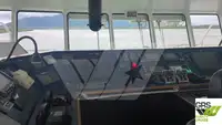 ספינת RORO למכירה