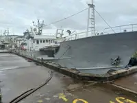 ספינה ארוכות למכירה