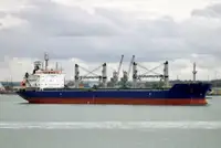 מוביל בתפזורת למכירה