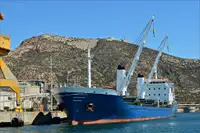 מוביל בתפזורת למכירה