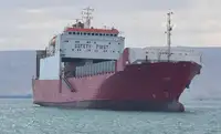 ספינת RORO למכירה